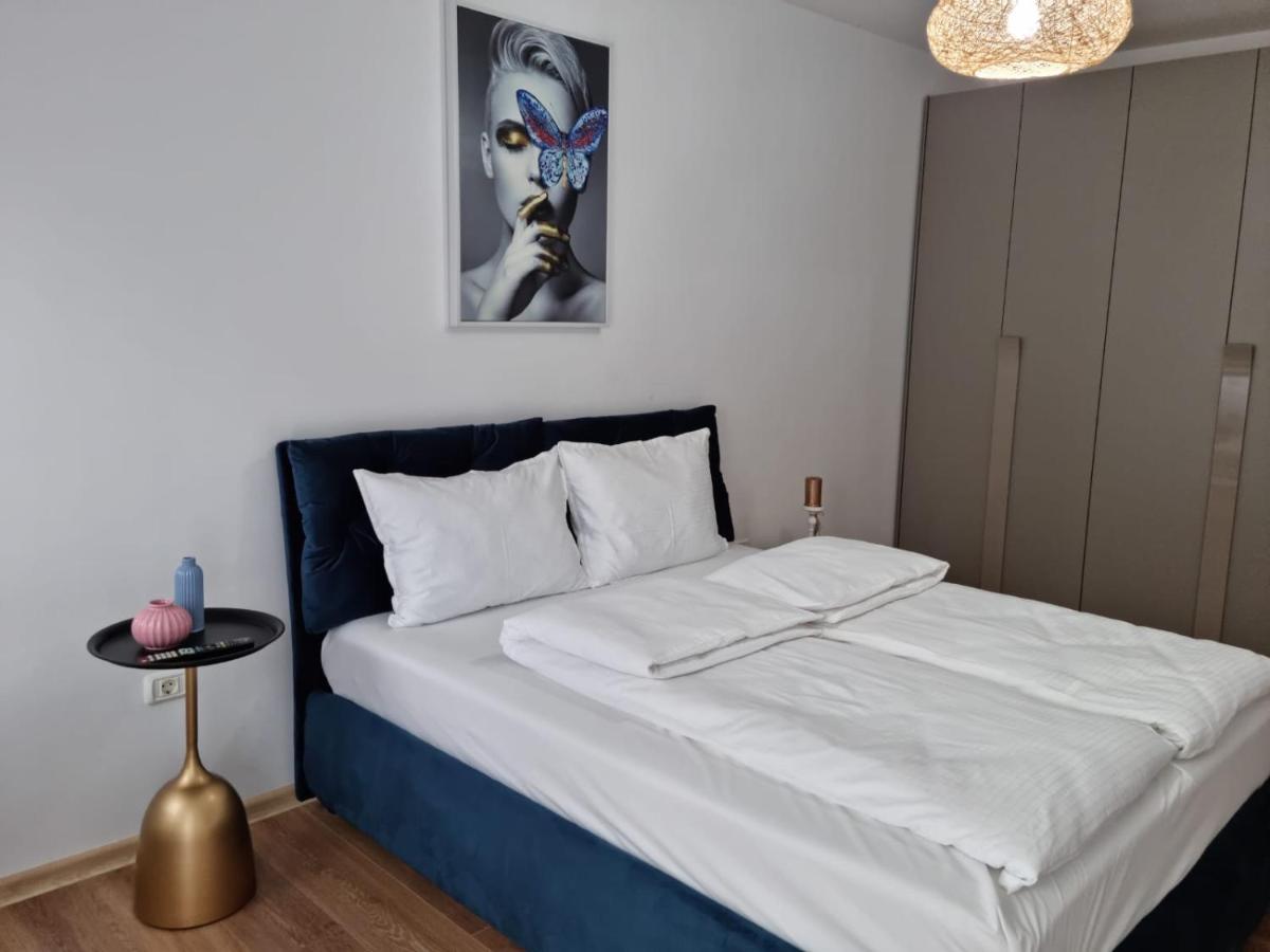 Sasu Apartment - B&B Timișoara