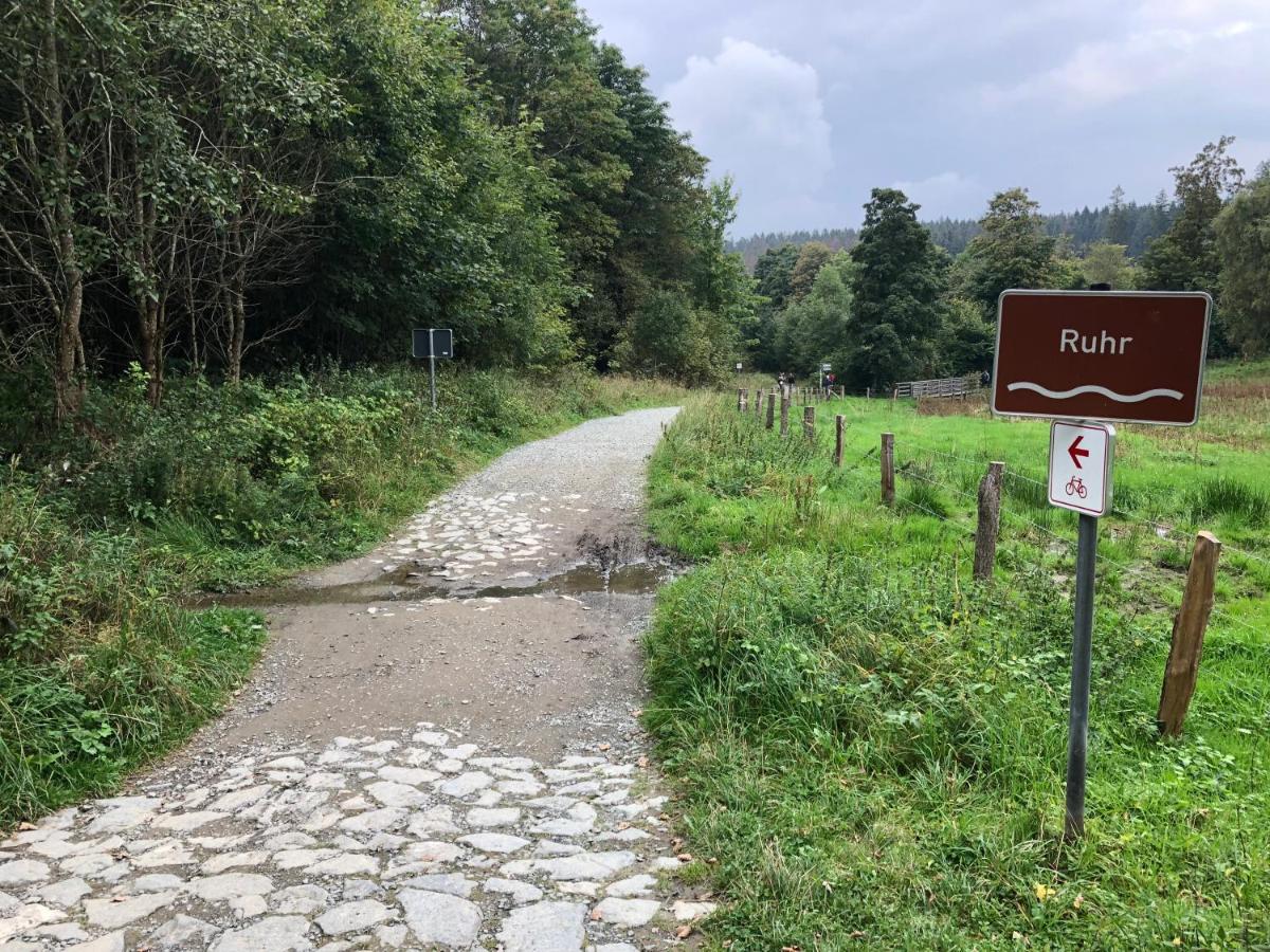 Schöne Aussicht Sauerland - kühle Wohnung - Familienurlaub mit Hund - Chambres d'hôtes Schmallenberg