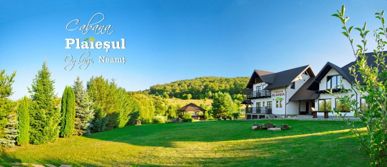 Cabana Plăieșul - Bed and Breakfast