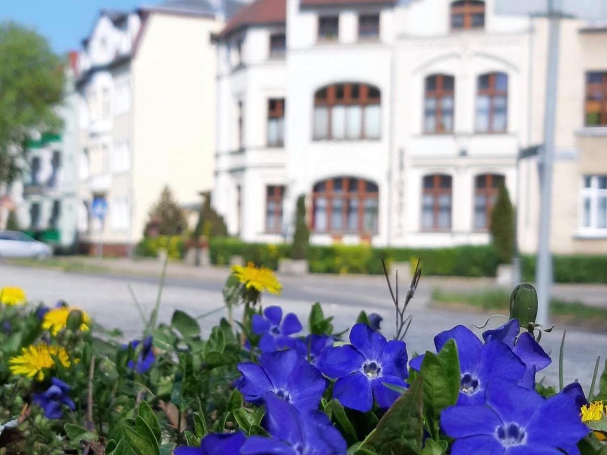 Kamienica pod Kasztanami Świnoujście (Usedom Insel) - Ferienwohnung