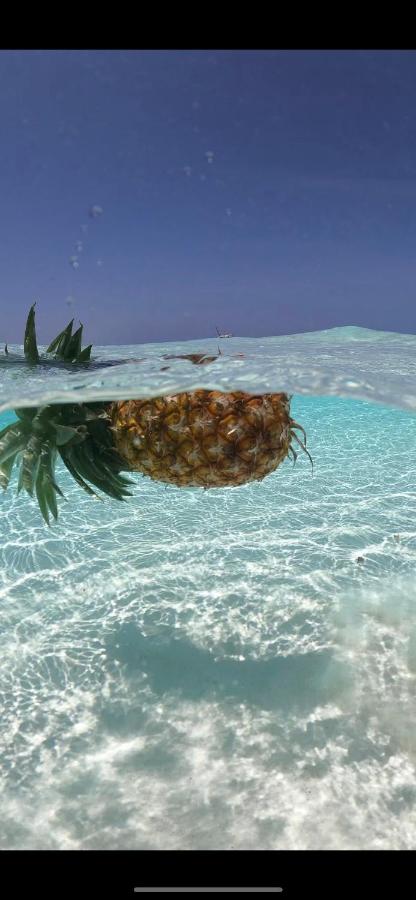 Kihori Nungwi - B&B Nungwi