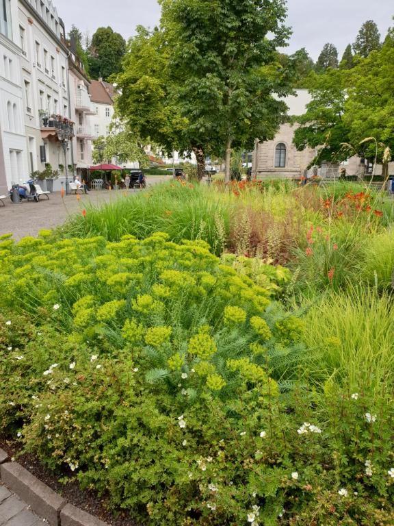 Studio an der Therme - B&B