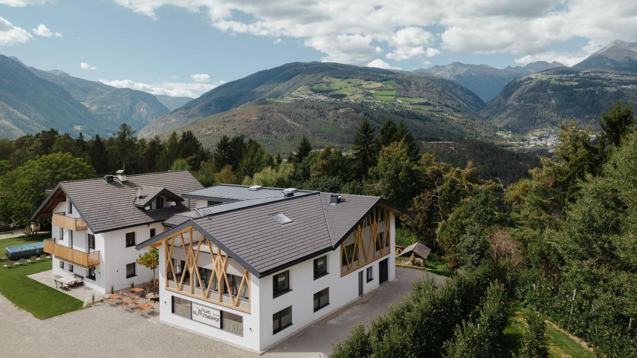 Plattnerhof Viums - Quiet family farm Apartments near Brixen - B&B Naz-Sciaves