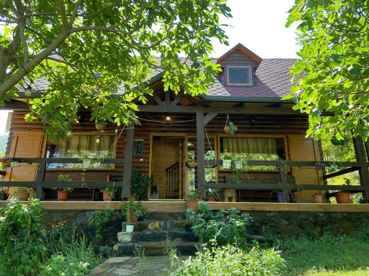 Agora Farmhouse - Bed and Breakfast