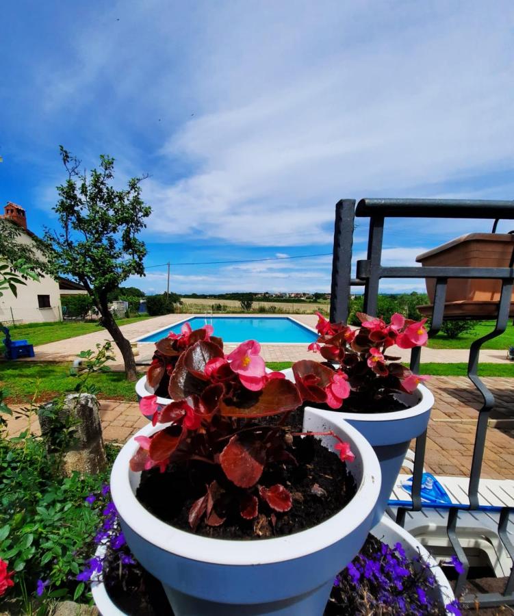 Moratto's Apartments - B&B Umag