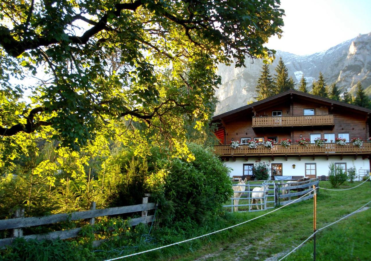 B&B Ramsau am Dachstein - Haus Berghild - Bed and Breakfast Ramsau am Dachstein