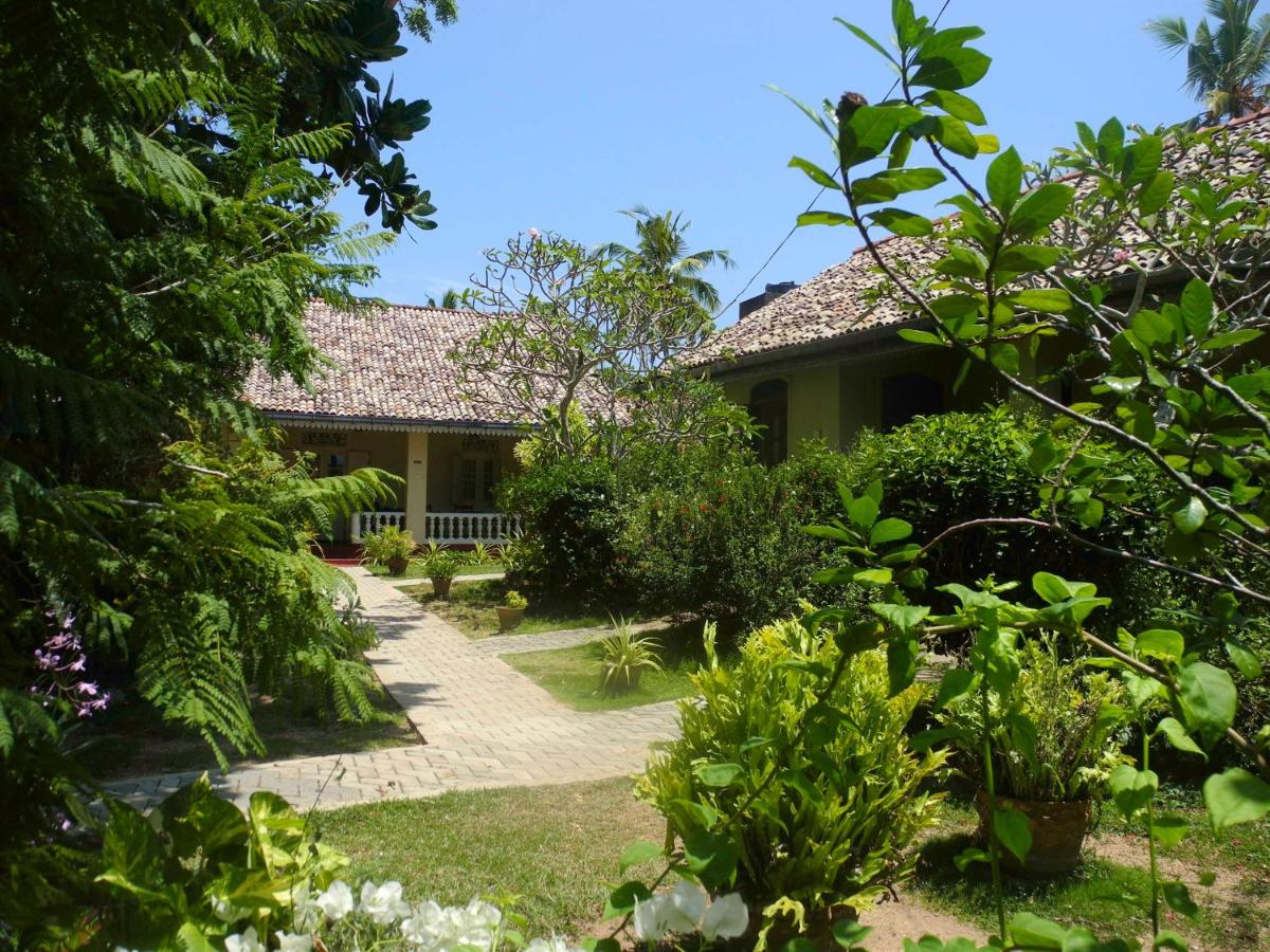 B&B Weligama - Top of the Hill Guesthouse - Bed and Breakfast Weligama