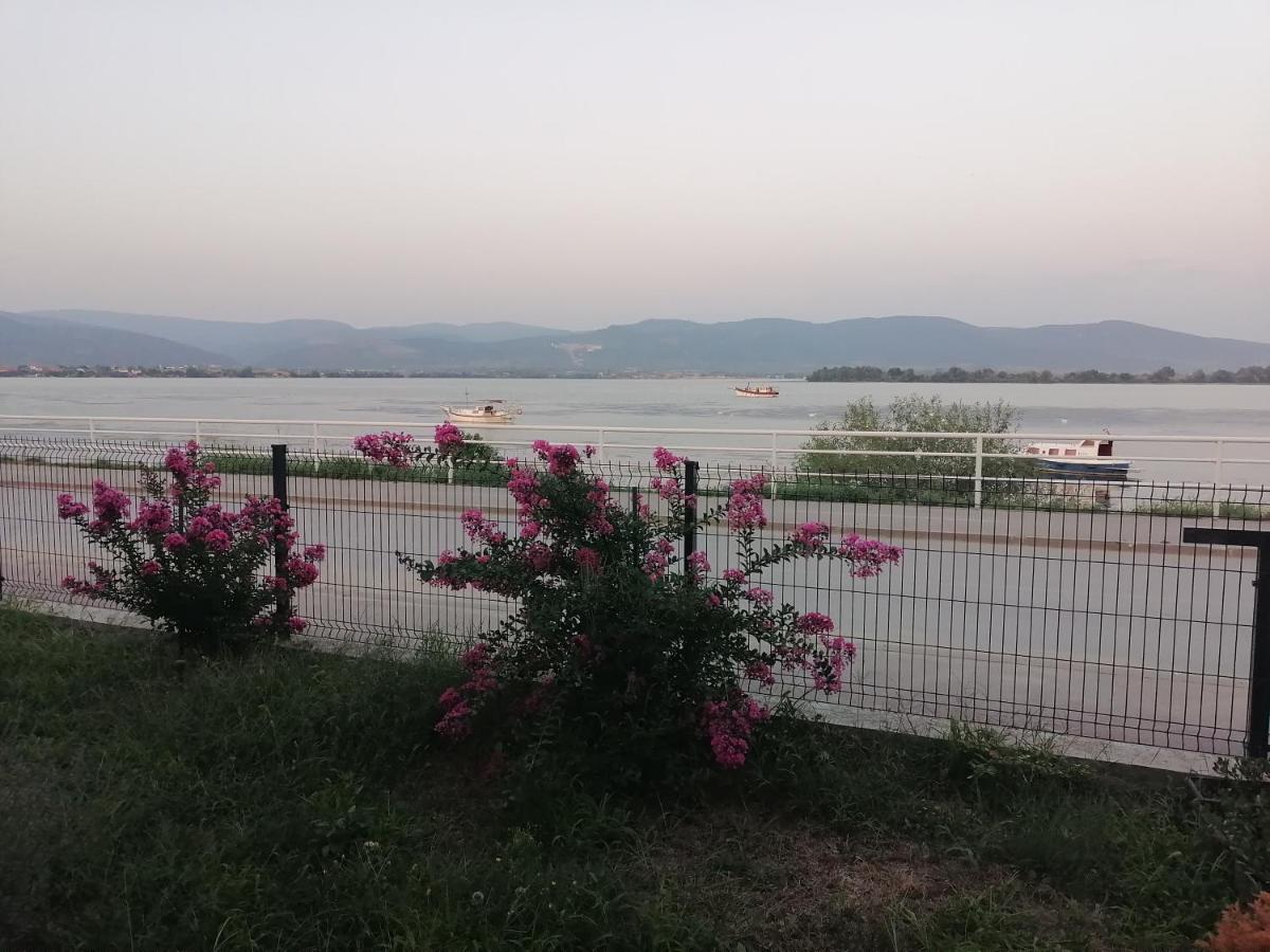 B&B Golubac - Apartman Sandrina - Bed and Breakfast Golubac