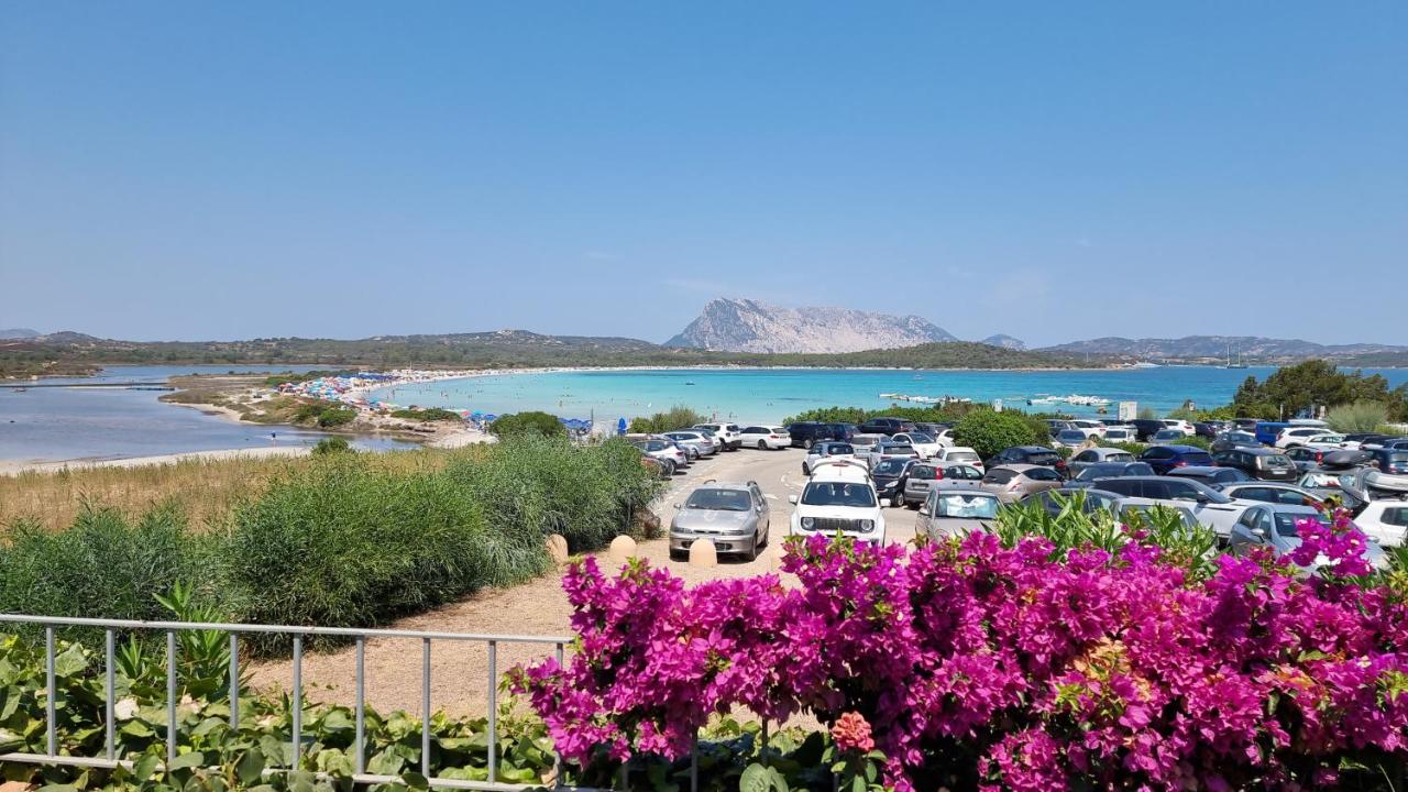 Villetta La Cinta - B&B Puntaldia