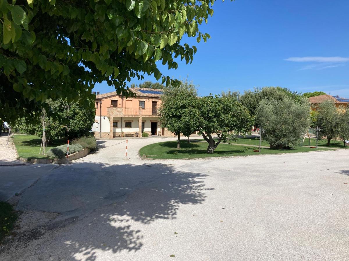 B&B Osimo - Azienda Agrituristica Le Bucoliche - Bed and Breakfast Osimo