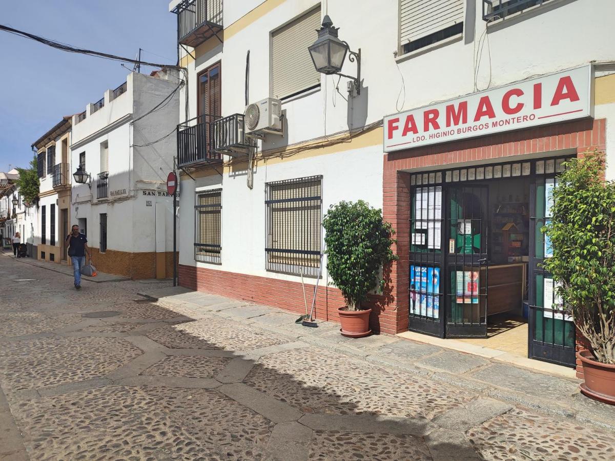 Alojamiento San Basilio Suite - Ferienwohnung
