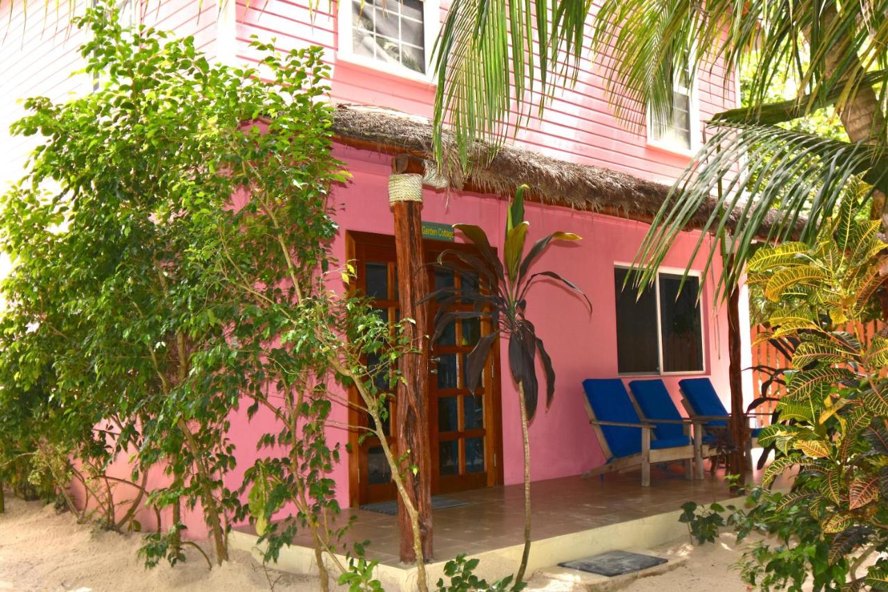 B&B Caye Caulker - Palmetto Garden Cottage - Bed and Breakfast Caye Caulker