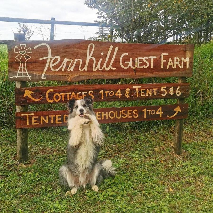 Fernhill Guest Farm - B&B Knysna
