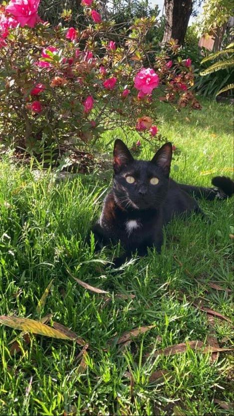 Casa dos avós - B&B Canas de Senhorim