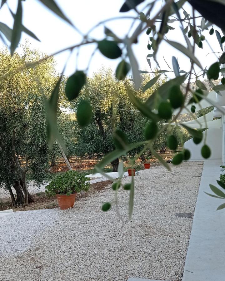 Dimora Basso - B&B