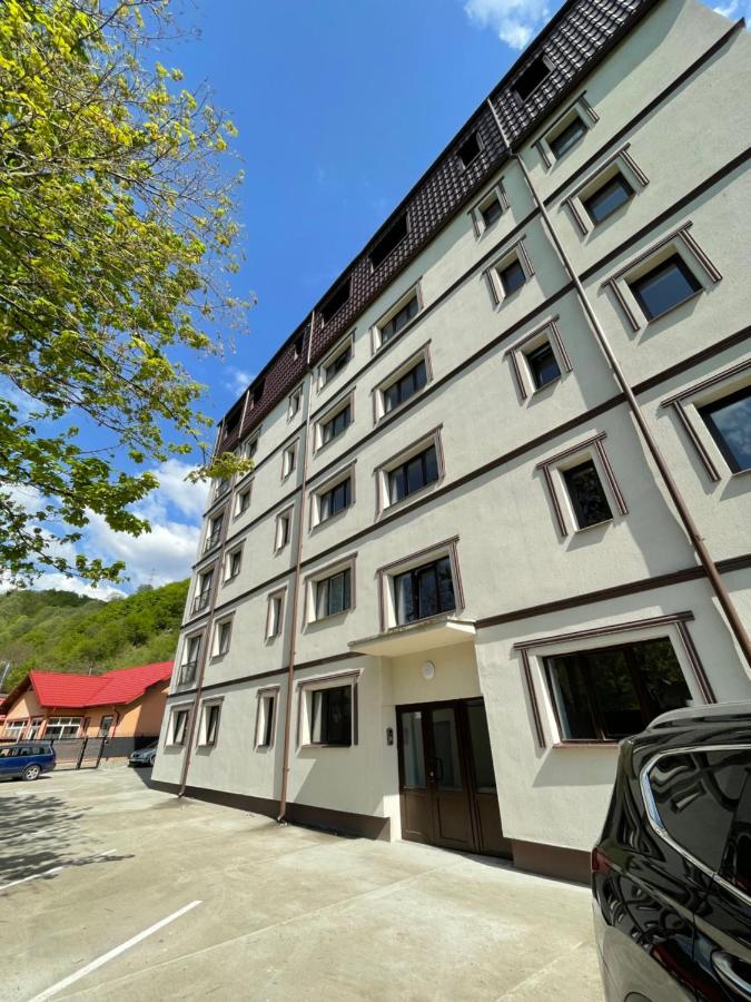 Bibis Apartments - Chambres d’hôtes Nehoiu