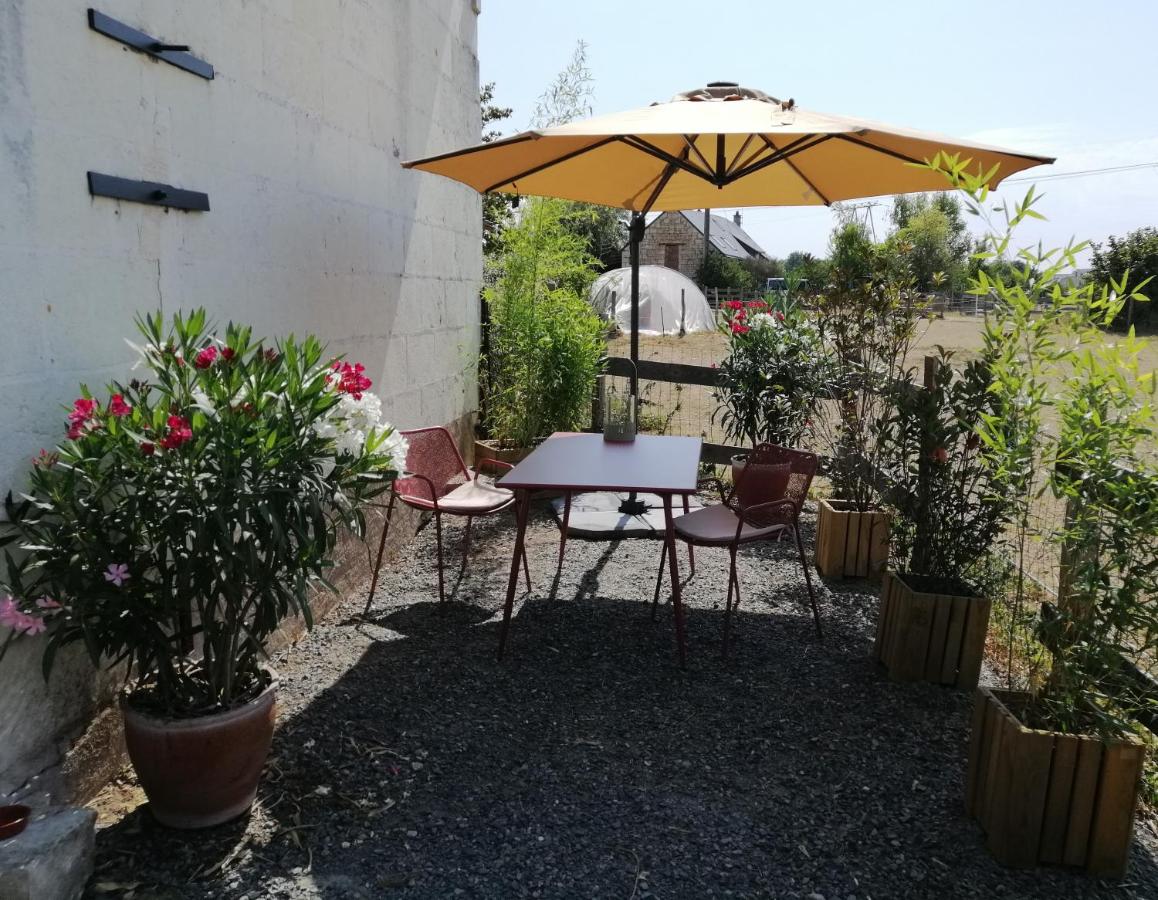 Bel appt 3 pièces, à l'étage, jardin privatif, au calme, 10 mn Saumur et CNPE - B&B