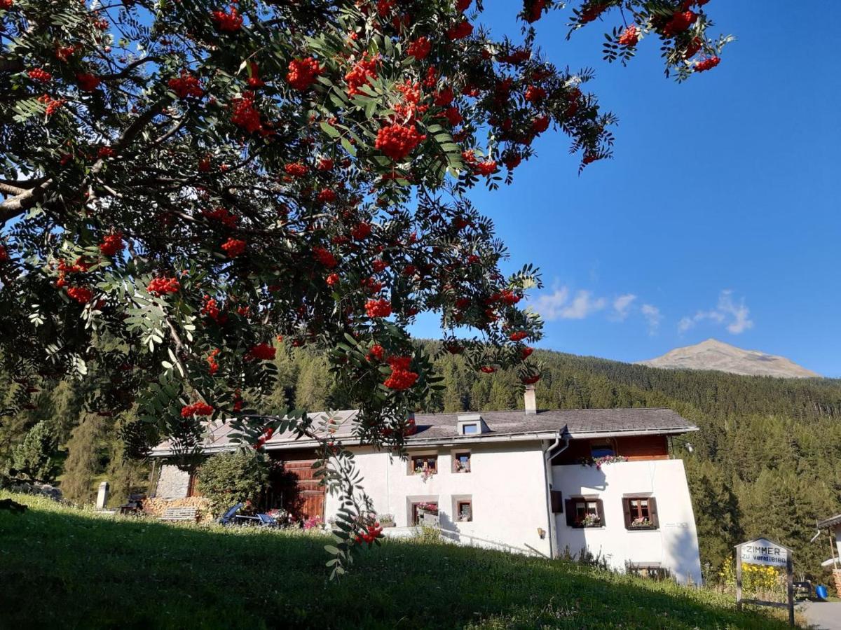 B&B Fuldera - Fuldera Daint chasa Zanoli Whg im zweiten Stock - Bed and Breakfast Fuldera