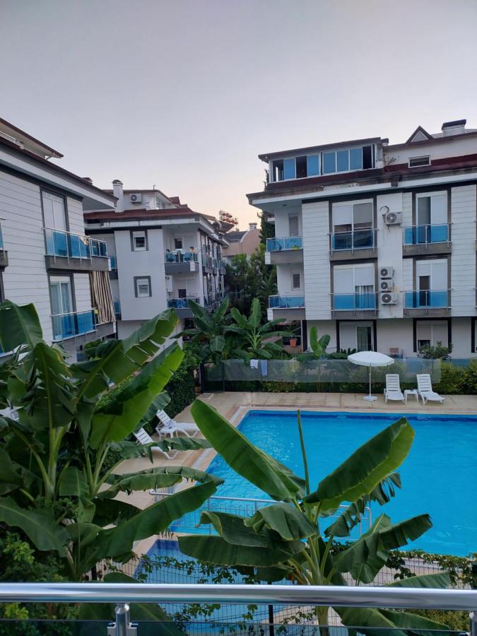 B&B Antalya - Magnificent 2+1 flat with swimming pool in Lara - Bed and Breakfast Antalya