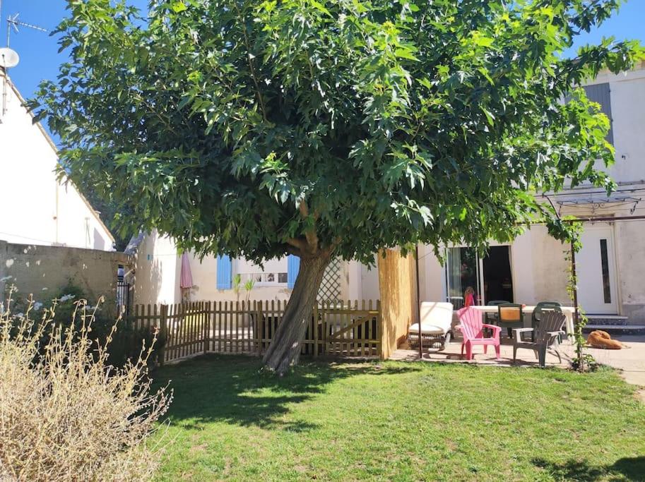 Mas provençal au cœur des vergers - B&B