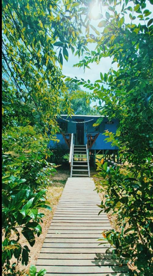 Casa Tío Camilo - B&B Tigre