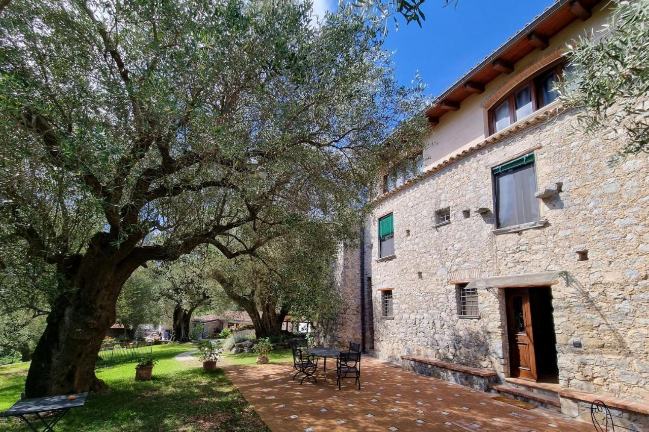 Pie' d'Ulivo - B&B