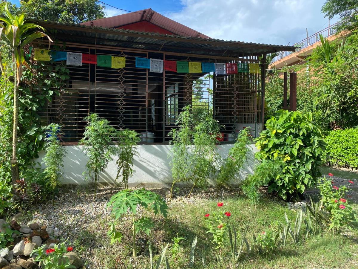 Tara guesthouse - Sauraha,Chitwan - B&B