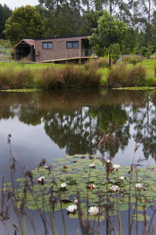 Tyenna River Cottages - B&B Tyenna