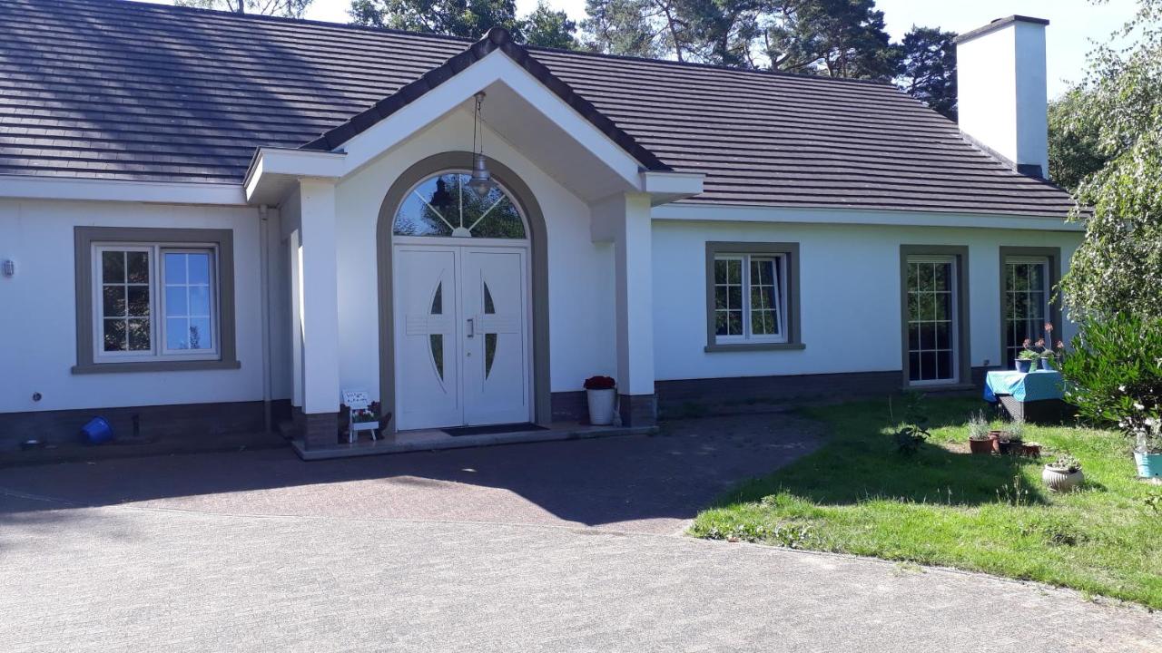 B&B de (S)tulp - B&B