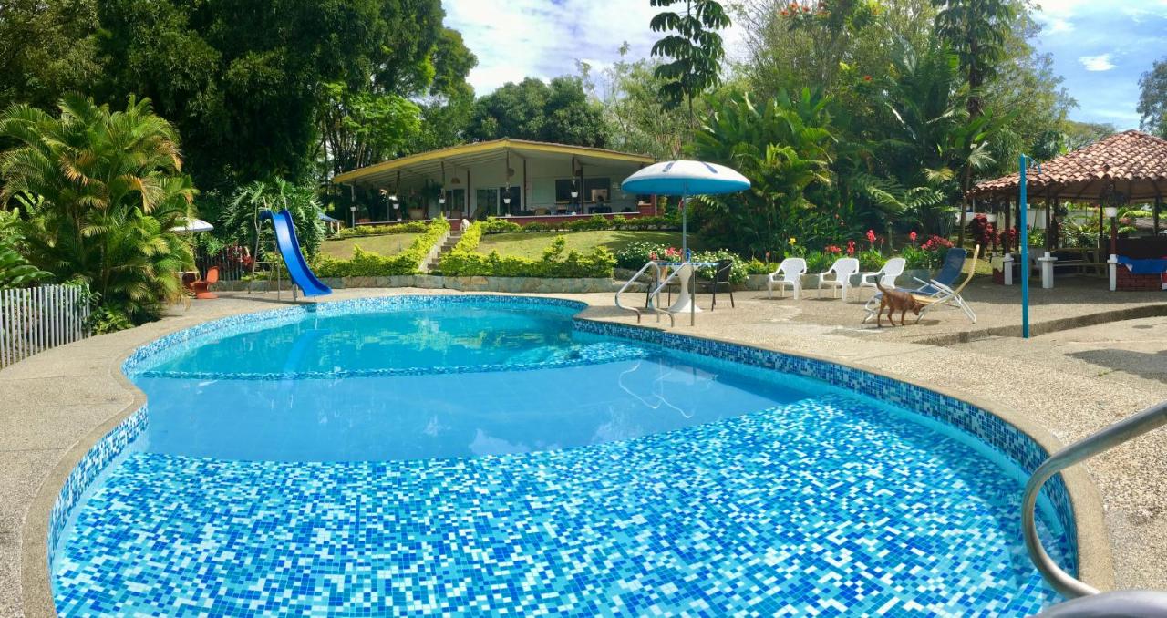 El Jardín de los Colibríes - Pereira, Risaralda - B&B Pereira