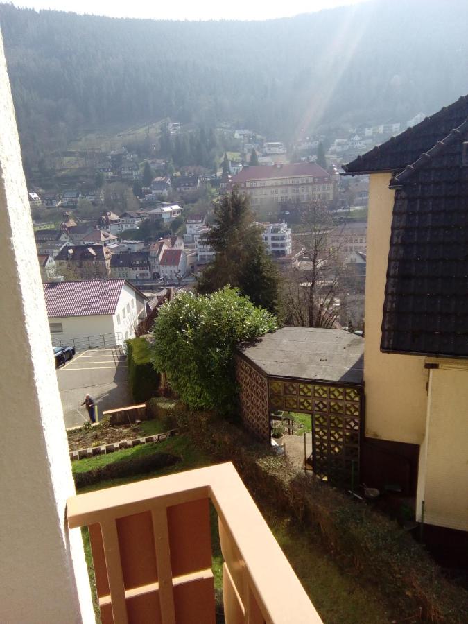 B&B Bad Wildbad - Stadtblick - Bed and Breakfast Bad Wildbad