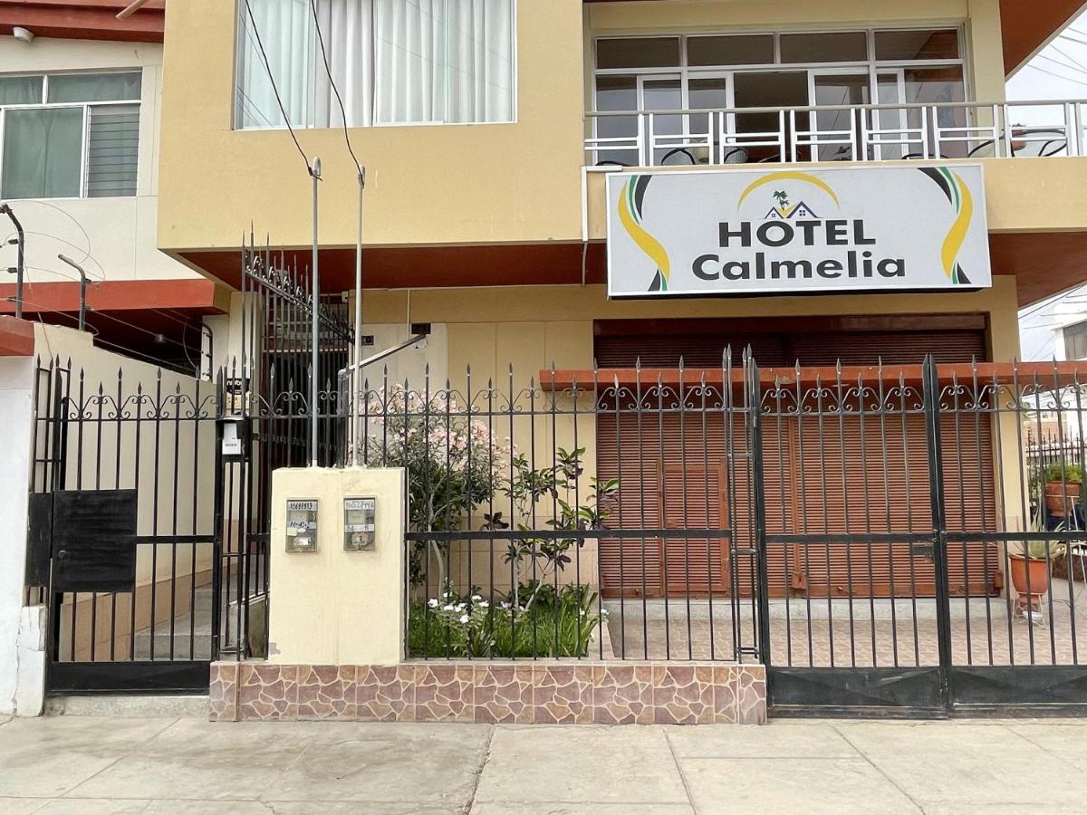 Hotel Calmelia - B&B