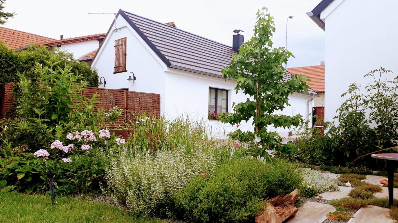 Onefourfour Apartment - B&B Brandýs nad Labem-Stará Boleslav