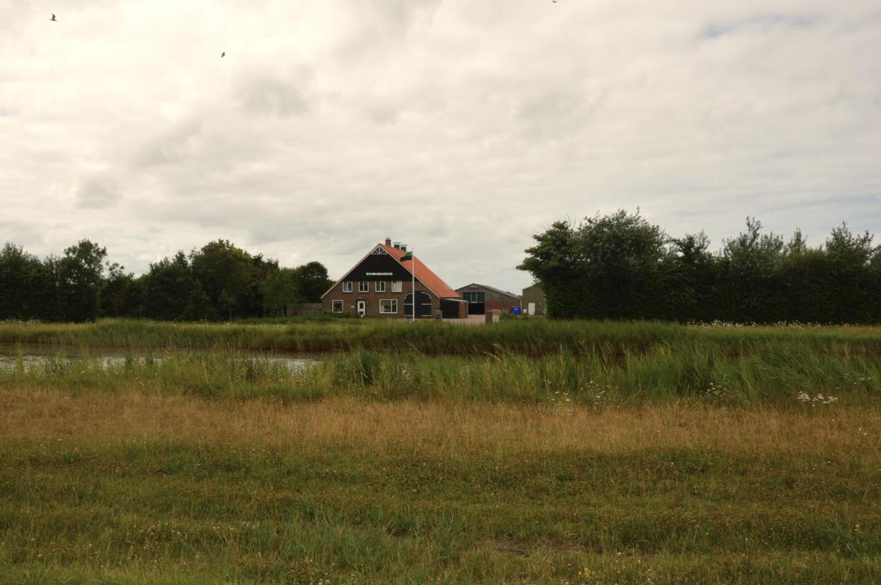 Bed & Breakfast ‘Tuus op Tessel’ - Bed and Breakfast