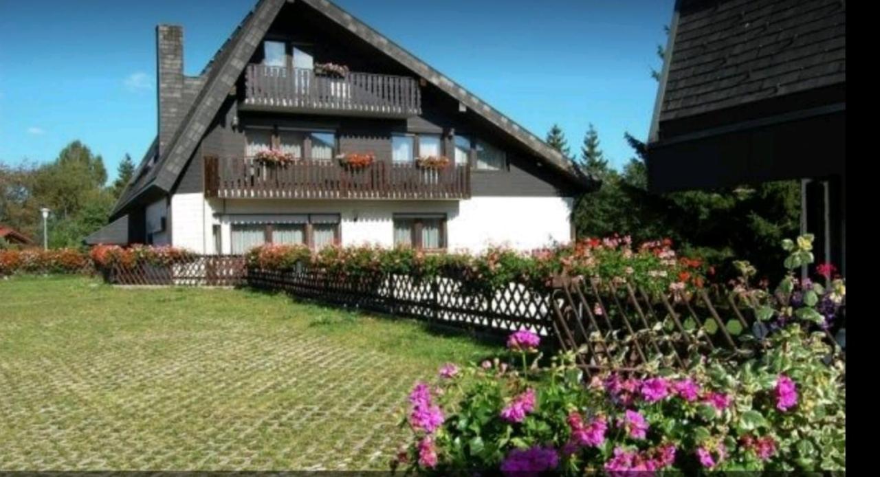 B&B Schönwald - Ferienhaus-Schönwald im Herzen des Schwarzwaldes 1ZimmerWohnung+Balkon App7 - Bed and Breakfast Schönwald