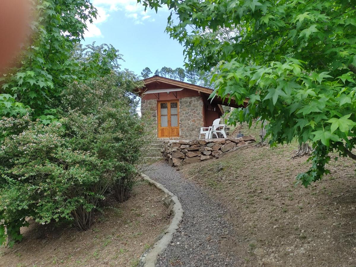 Cottage met Uitzicht op de Tuin