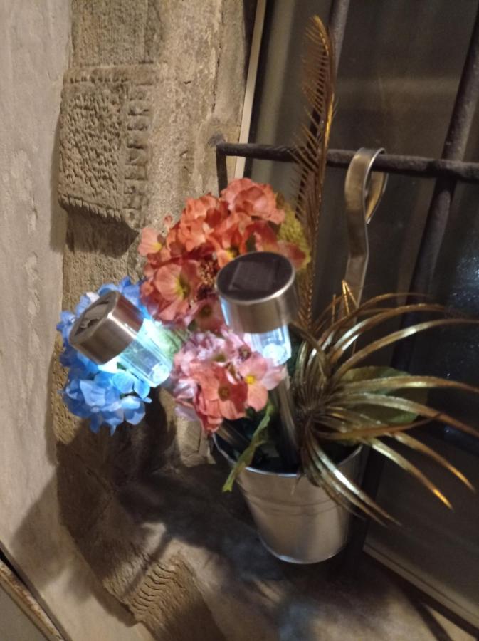 EMY & LU CASA VACANZA CITTA' ALTA - Ferienwohnung