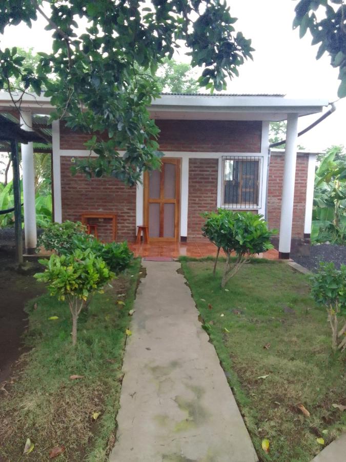 Hostal Bullshark - B&B