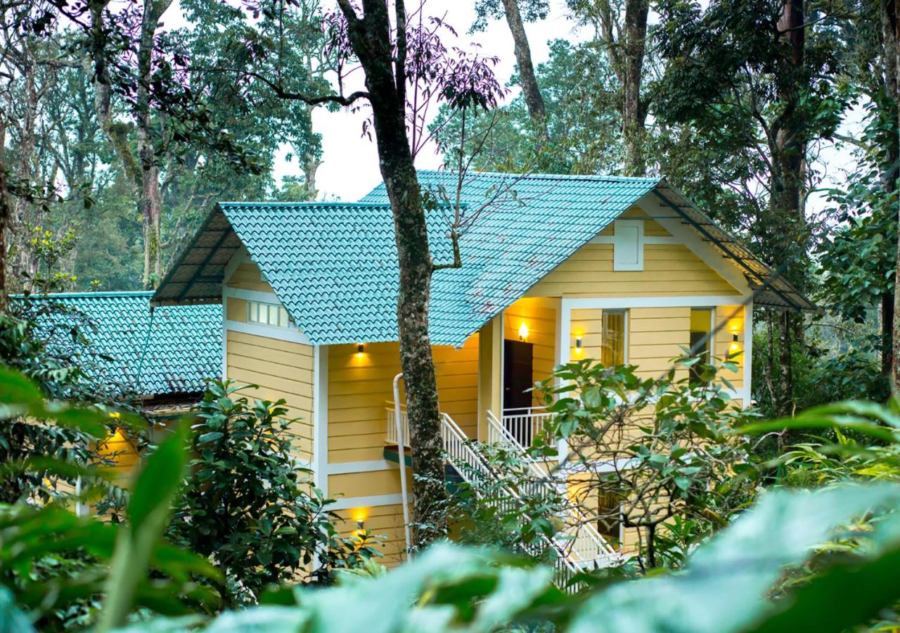 B&B Munnar - Areva Inn Munnar by VOYE HOMES - Bed and Breakfast Munnar