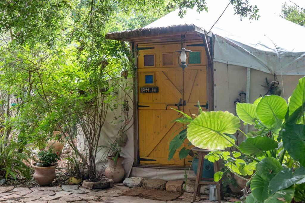 היורט באבירים - יורט מושלם לזוגות בצפון - Bed and Breakfast Abbirim