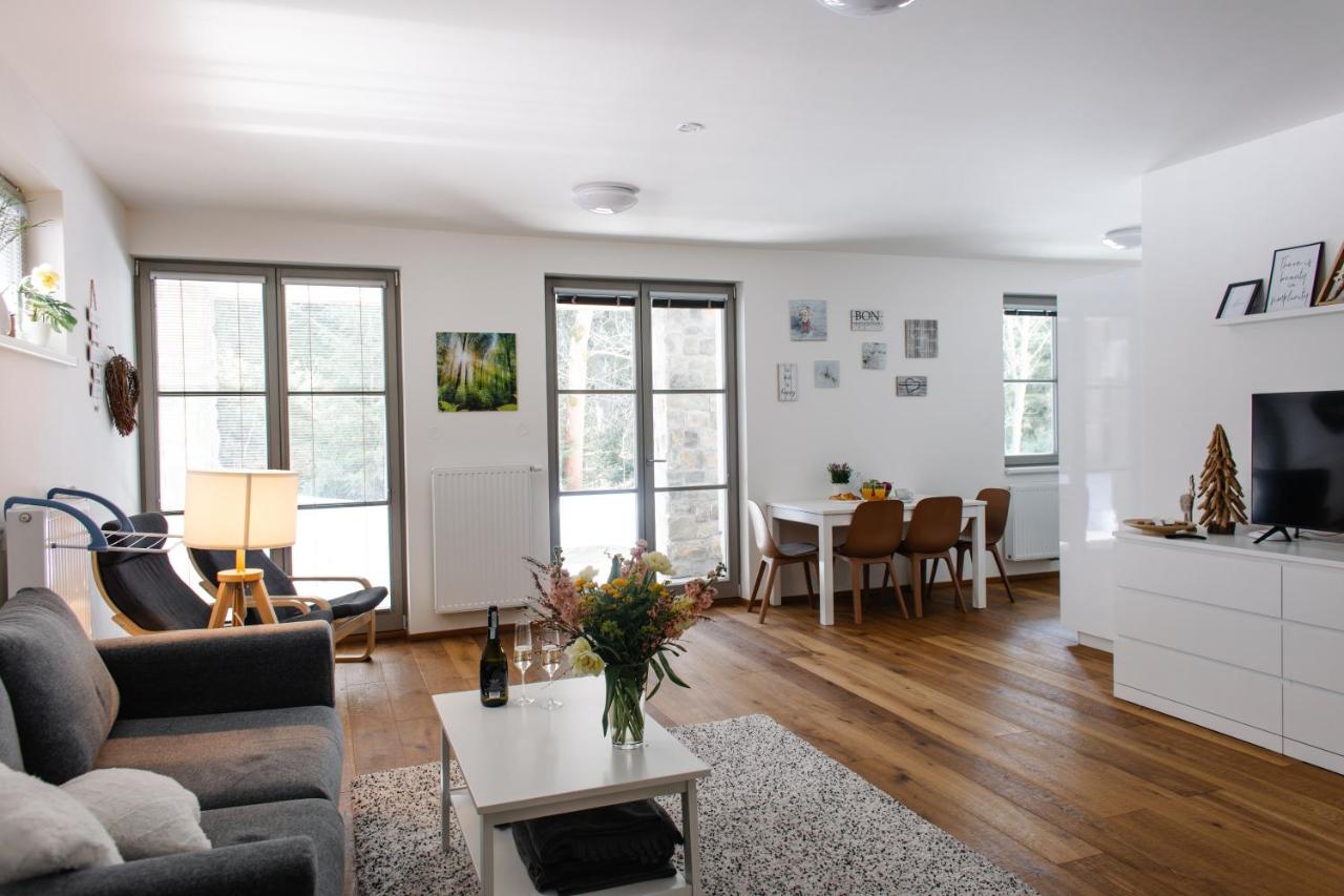 Apartmán s nádherným výhledem v centru Harrachova - B&B