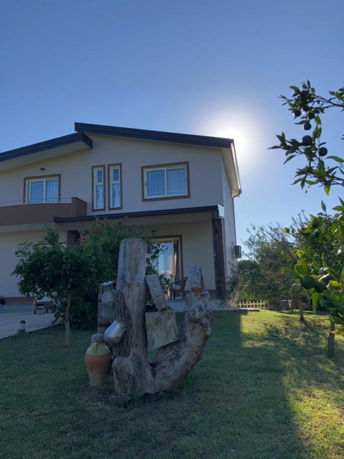 Sunnyside Villa - Bed and Breakfast
