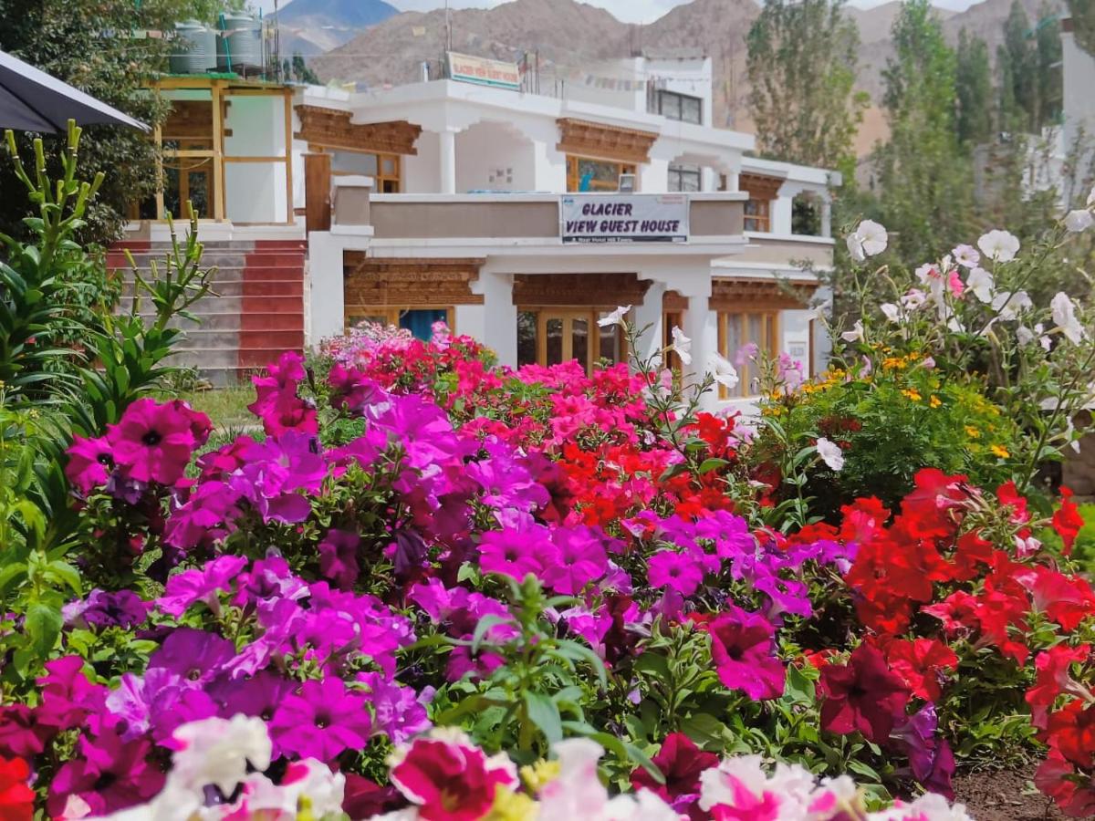 Glacier View Guest House - B&B Leh