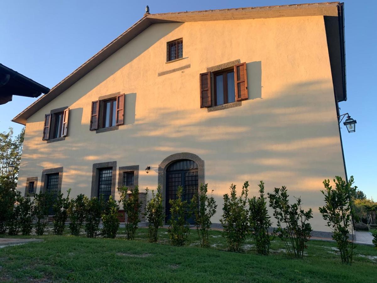 L'Acero di STALL - B&B Viterbo