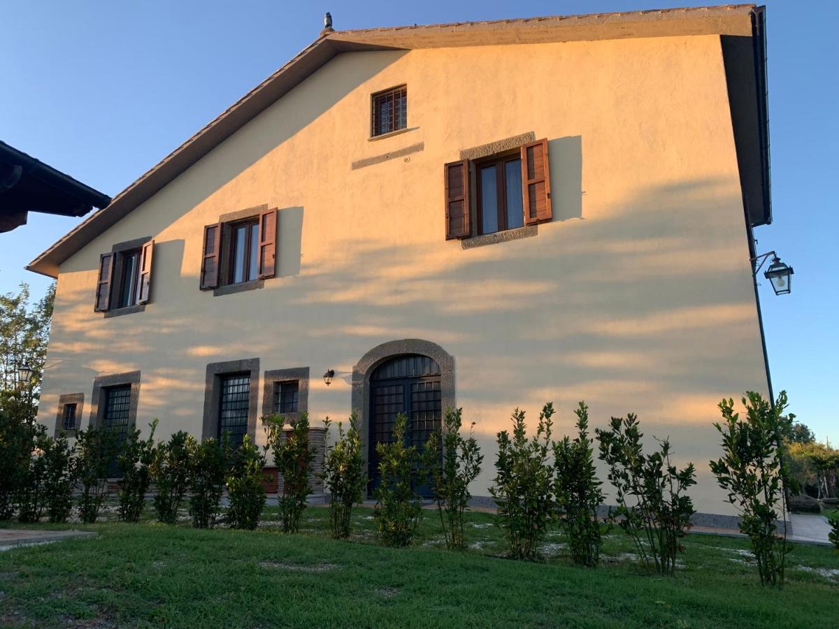 B&B Viterbo - L'Acero di STALL - Bed and Breakfast Viterbo