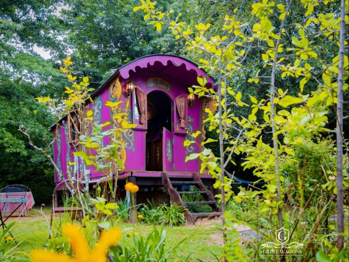 Gypsy Wagons and Vans, Clarens - B&B