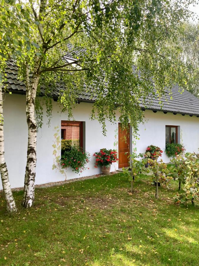 B&B Krośnice - Winnica De Sas - Bed and Breakfast Krośnice