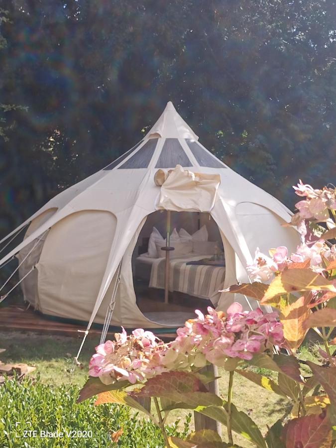 B&B Barmstedt - Glamping Altes Pastorat - Bed and Breakfast Barmstedt