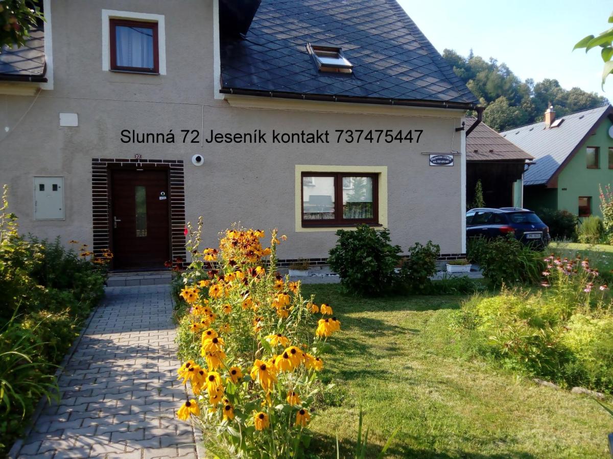 B&B Freiwaldau - Ubytování Lumik - Bed and Breakfast Freiwaldau