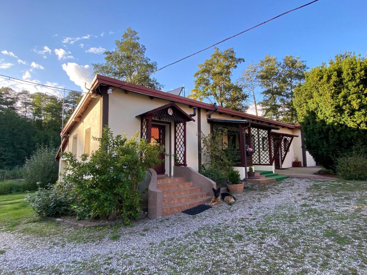 Mlyn Wodny EKO Hillar - B&B Rybno